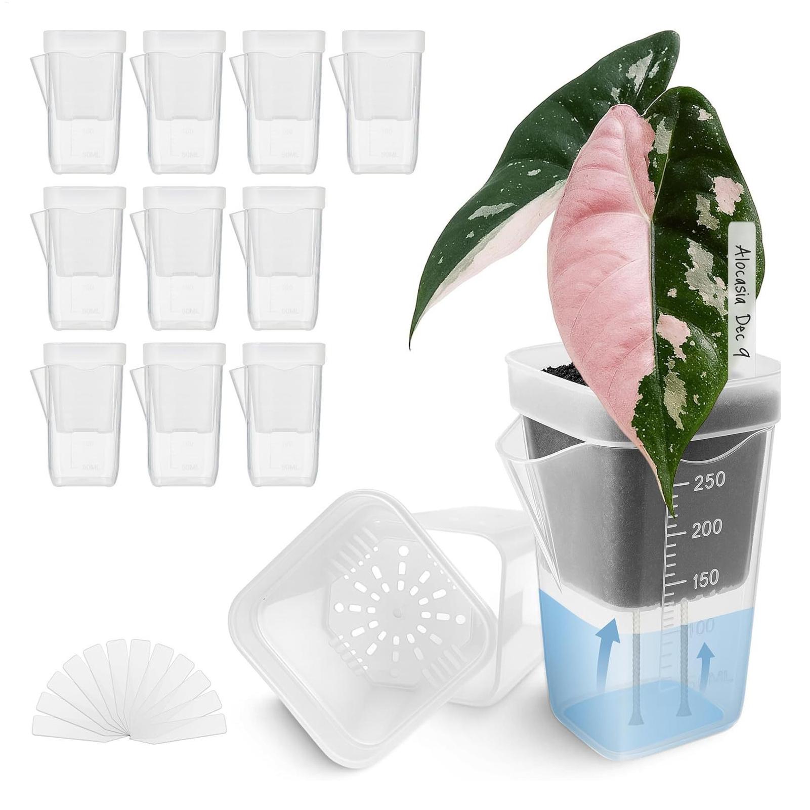 Hydroponic Grow Pod - 10 Pieces Indoor Plant Pot Transparent