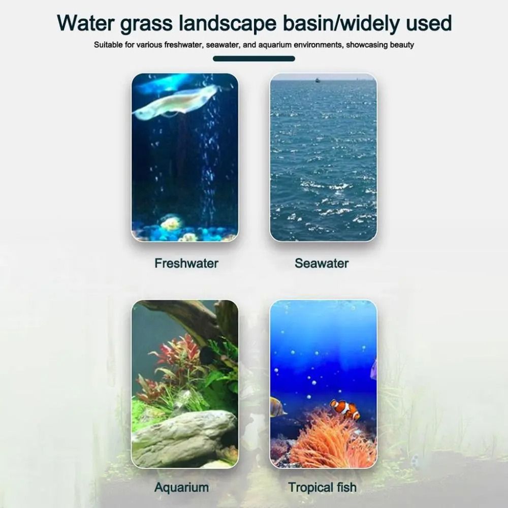 10Pcs Transparent Plant Hydrop - Hydroponic Grow Pod ulasan dan harga