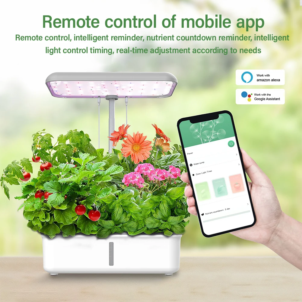 Tuya WiFi Plant Hydroponics Sy - Smart Garden Nursery ulasan dan harga