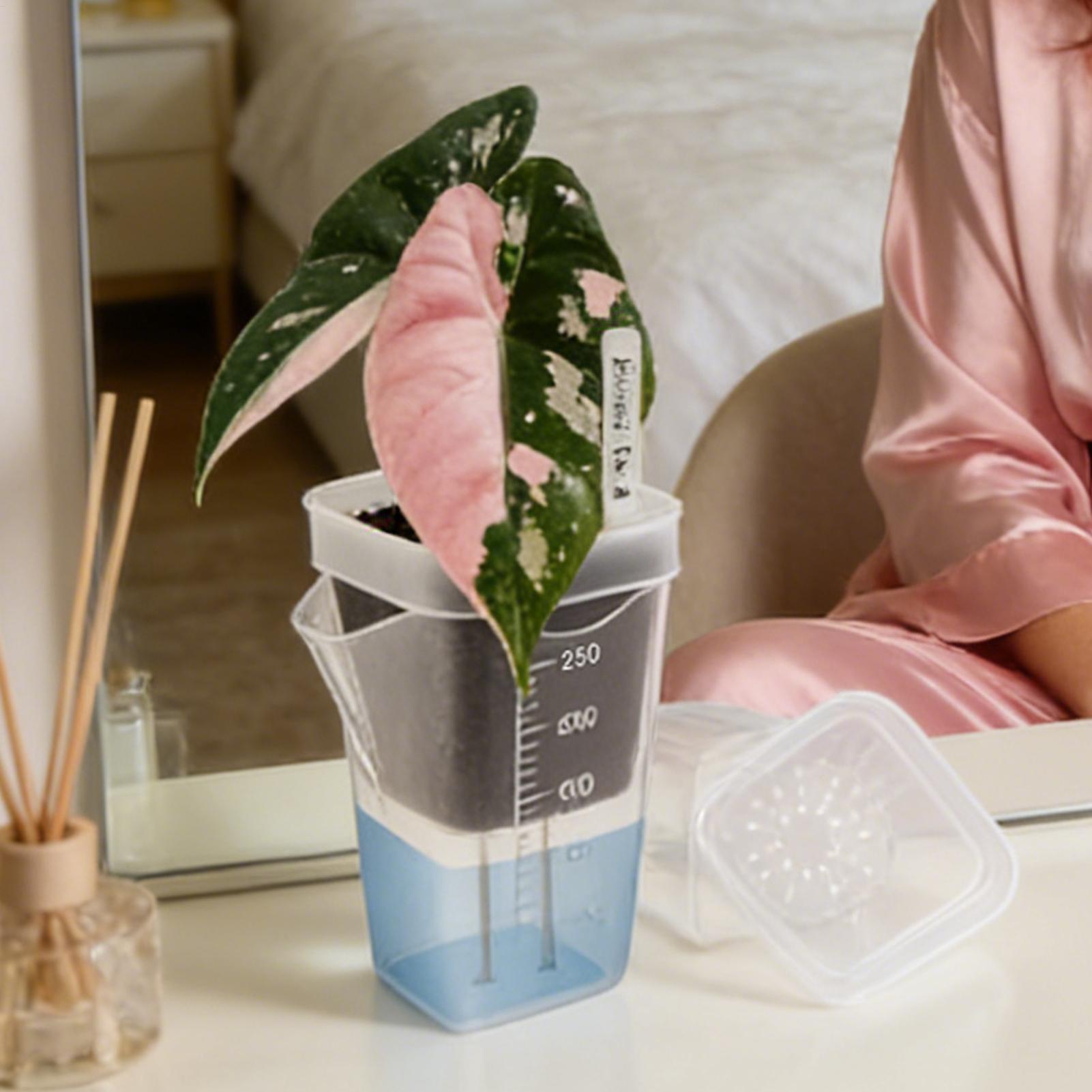 10 Pieces Indoor Plant Pot Tra - Hydroponic Grow Pod ulasan dan harga