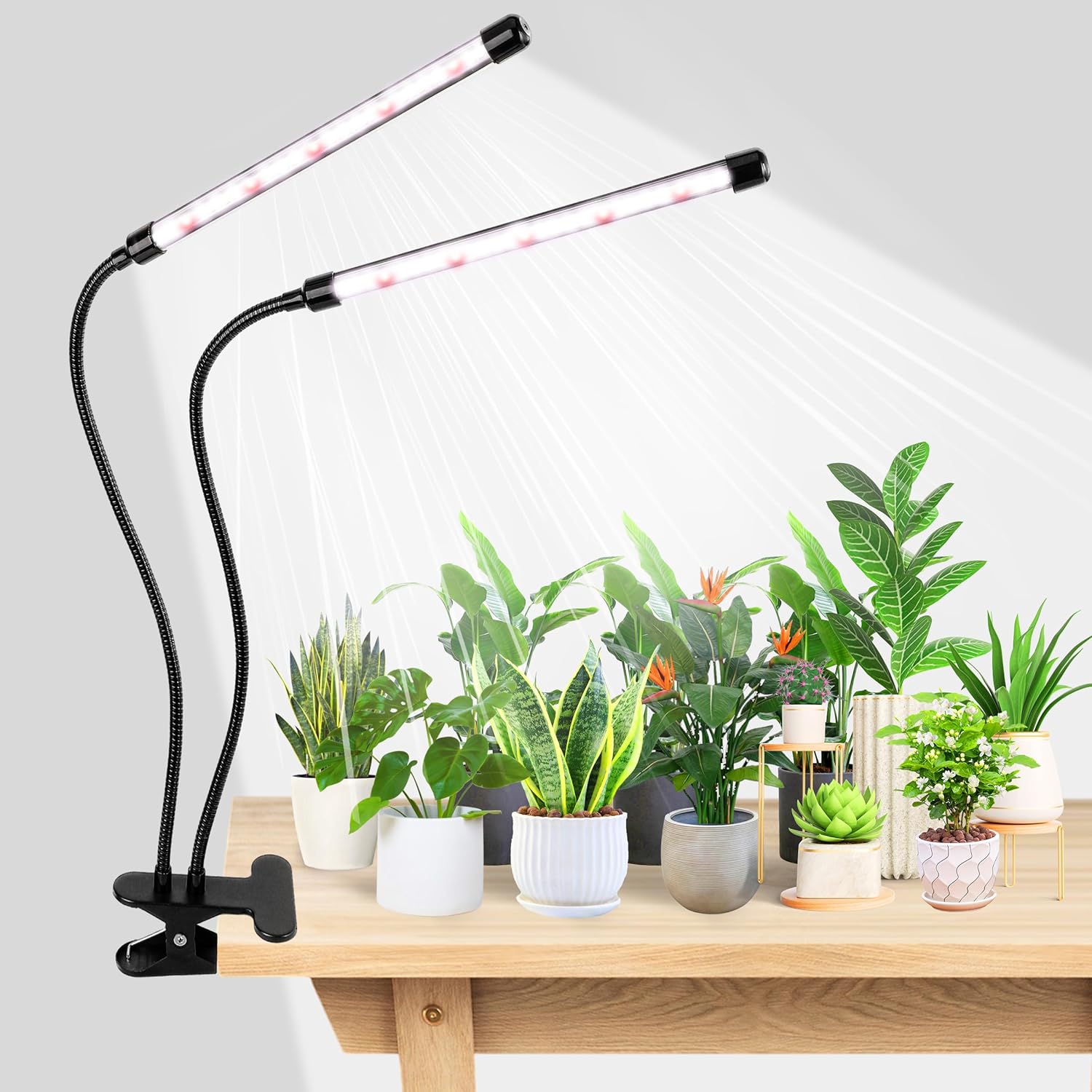 KEBINCPLED USB 5V Clip Plant G - Hydroponic Grow Pod ulasan dan harga