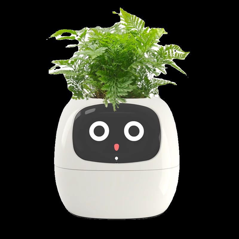 Sensor Smart Mimi Flower Pot F - Self Watering Pot Sensor ulasan dan harga