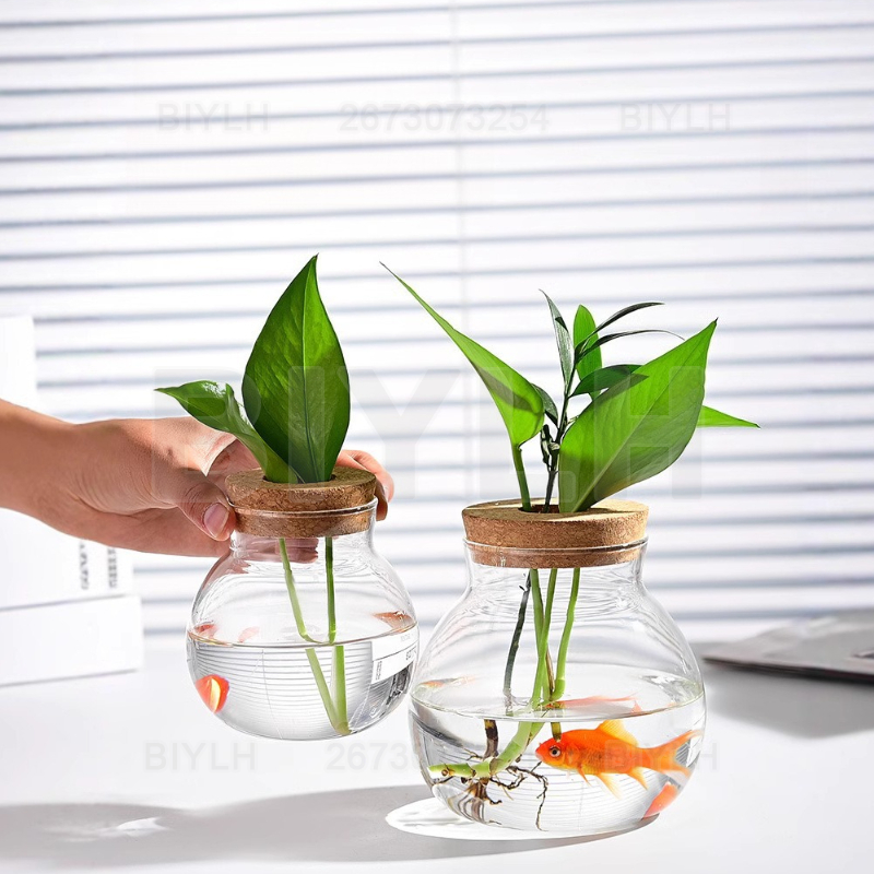 Hydroponic Plant Glass Vase Wi - Hydroponic Grow Pod ulasan dan harga