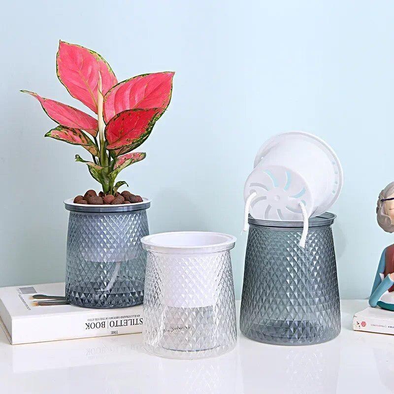 2024 Transparent Self Watering - Hydroponic Grow Pod ulasan dan harga