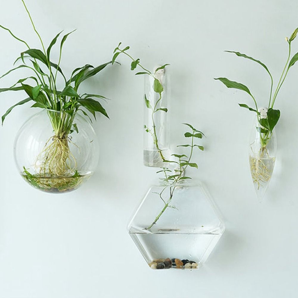Hydroponic Plants Purify House - Hydroponic Grow Pod ulasan dan harga