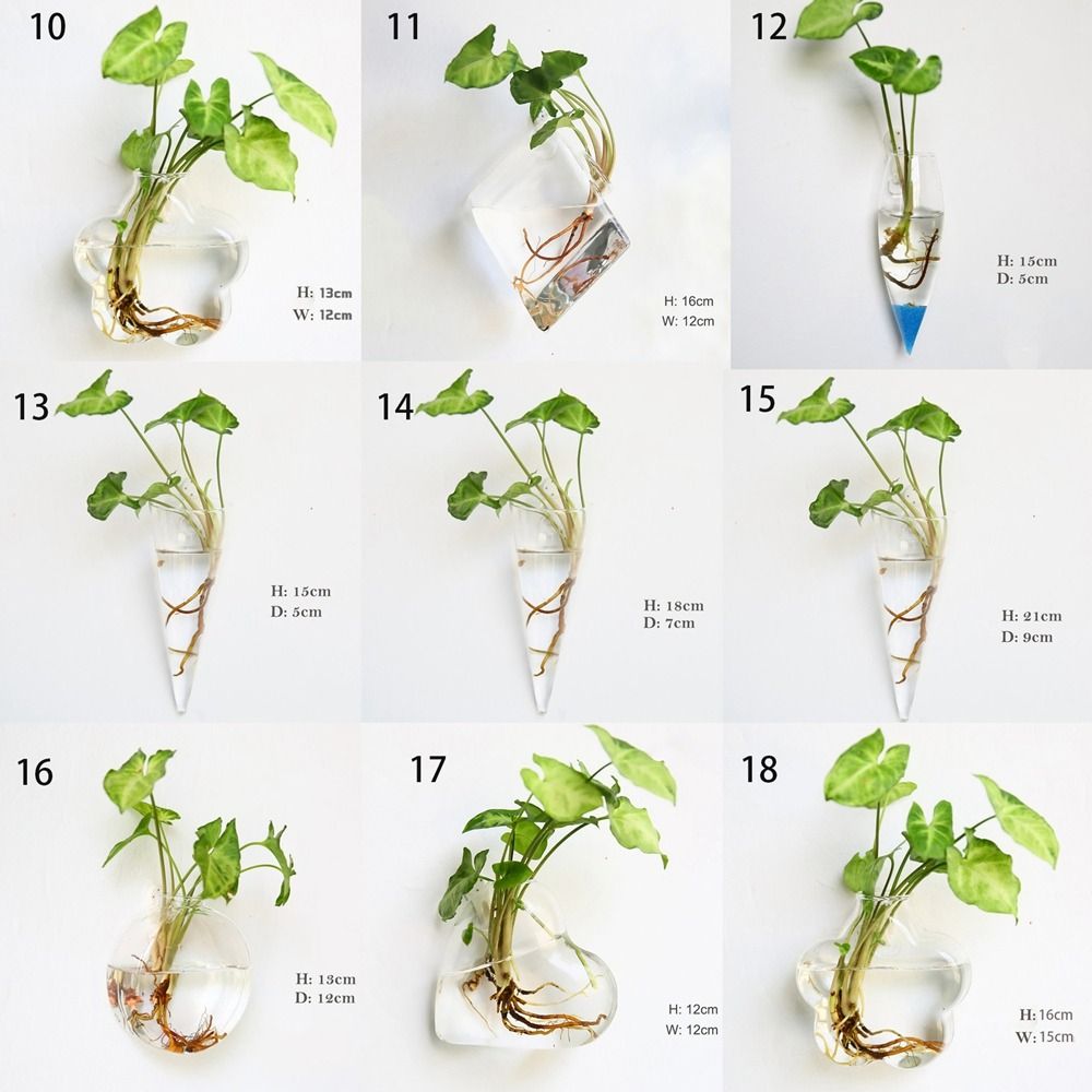 Hydroponic Plants Purify House - Hydroponic Grow Pod ulasan dan harga
