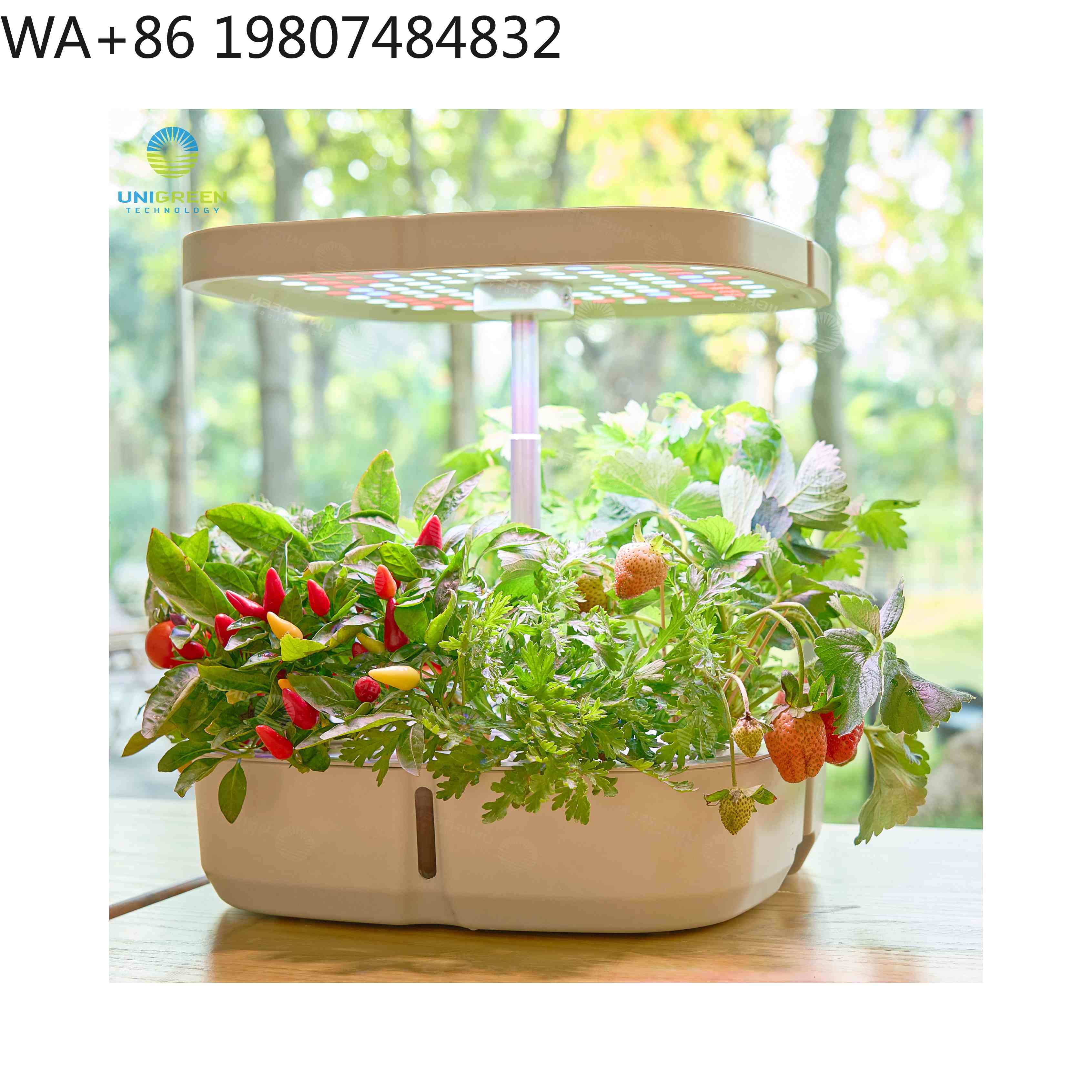 8 Pod  Mini Hydroponic Grow Bo - Hydroponic Grow Pod ulasan dan harga