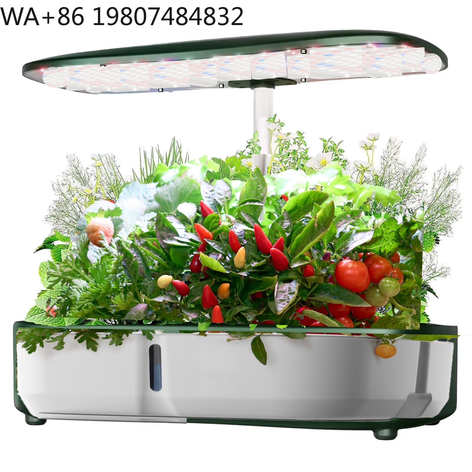 8 Pod  Mini Hydroponic Grow Bo - Hydroponic Grow Pod ulasan dan harga