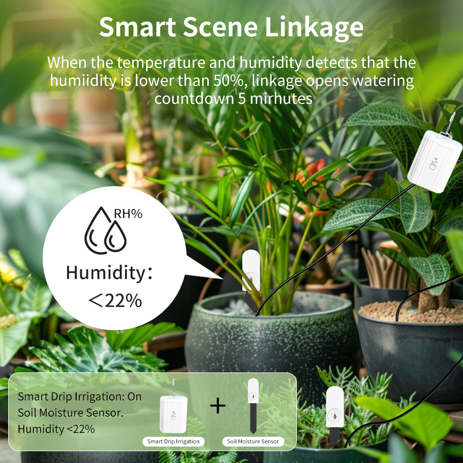 ZigBee Smart Soil Moisture Sen - Smart Garden Home Assistant ulasan dan harga