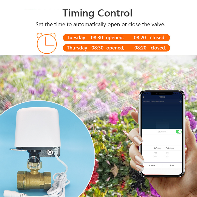 Smart Tuya WiFi Zigbee Water V - Smart Garden Home Assistant ulasan dan harga