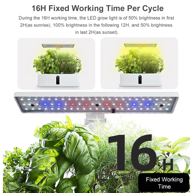 9 Pods Smart Hydroponics Growi - Hydroponic Grow Pod ulasan dan harga