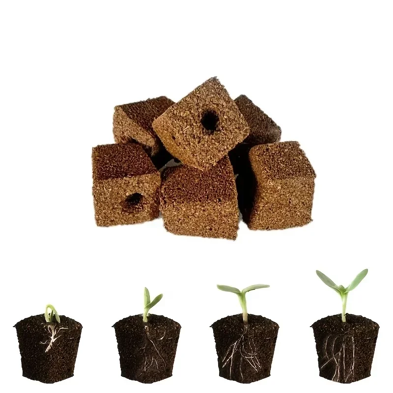 Seedling Starter Sponge Kit fo - Hydroponic Grow Pod ulasan dan harga