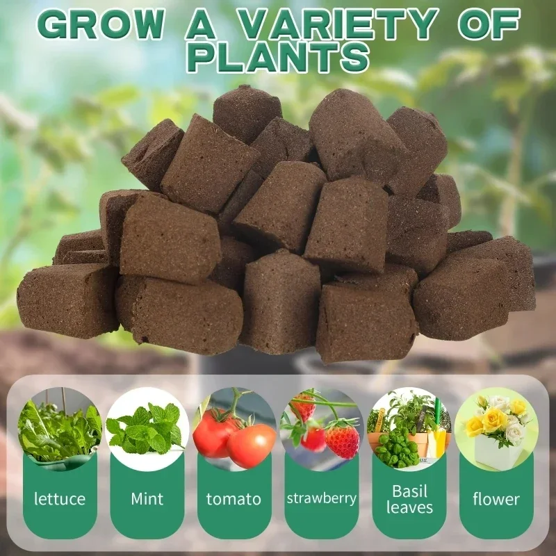 Seedling Starter Sponge Kit fo - Hydroponic Grow Pod ulasan dan harga