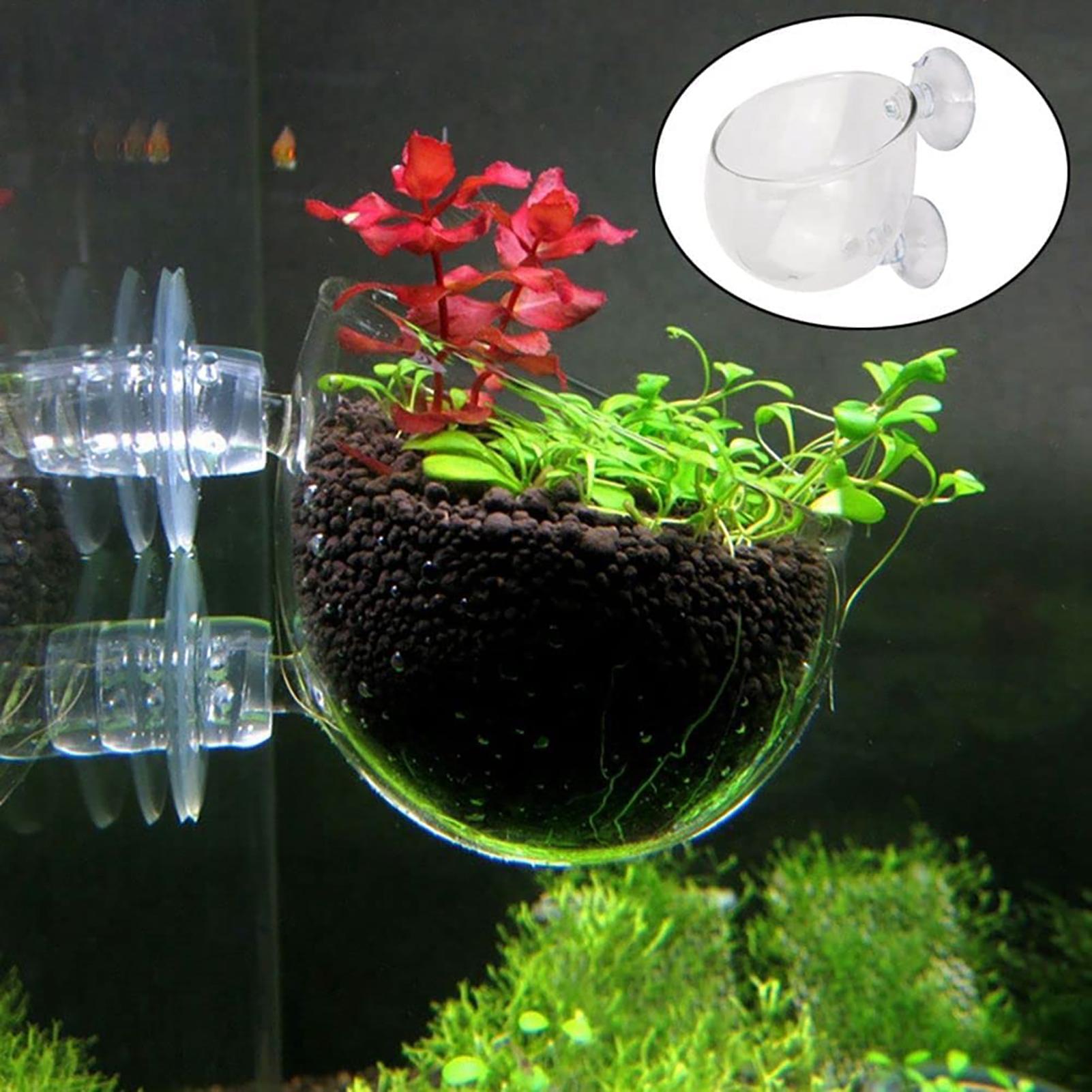 Aquatic Plant Pot Clear Acryli - Hydroponic Grow Pod ulasan dan harga