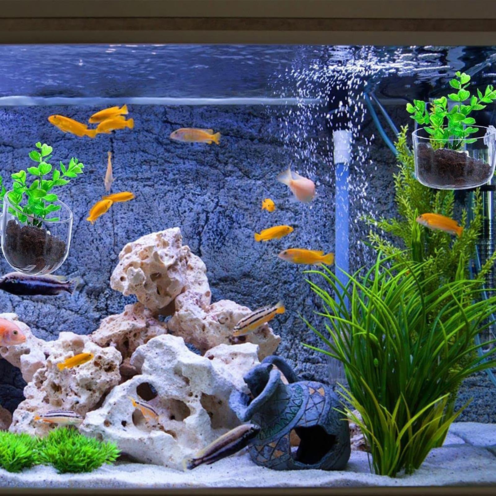 Aquatic Plant Pot Clear Acryli - Hydroponic Grow Pod ulasan dan harga