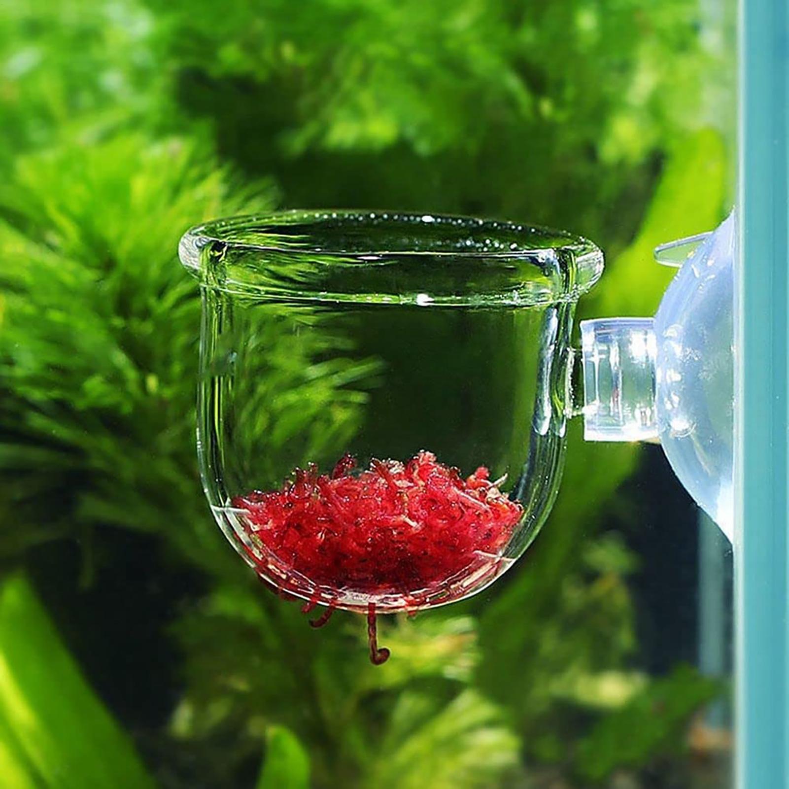 Aquatic Plant Pot Clear Acryli - Hydroponic Grow Pod ulasan dan harga