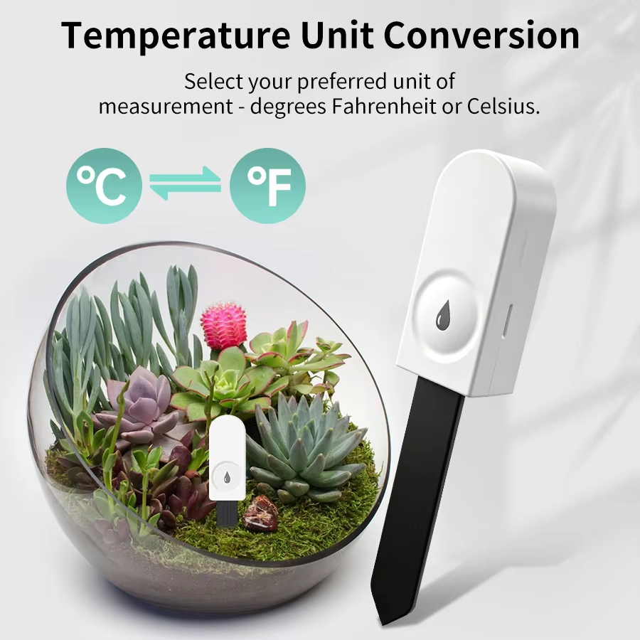 Zigbee 3.0 Plant Monitor Soil  - Smart Garden Home Assistant ulasan dan harga