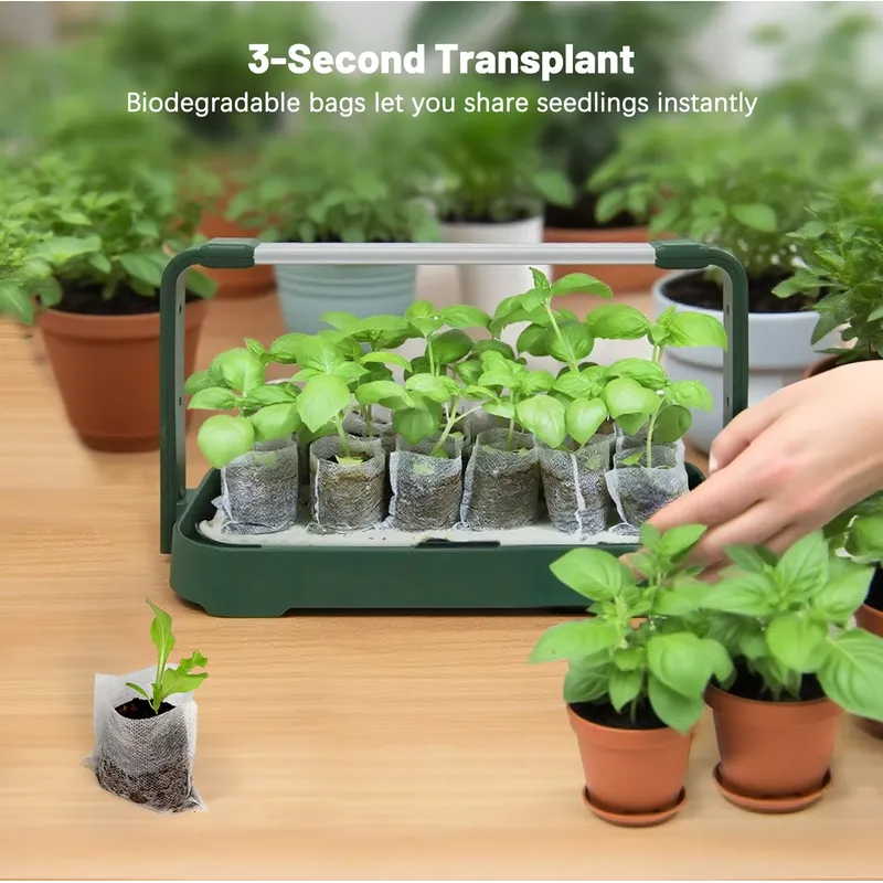 Indoor Smart Garden Hydroponic - Smart Garden Offices ulasan dan harga