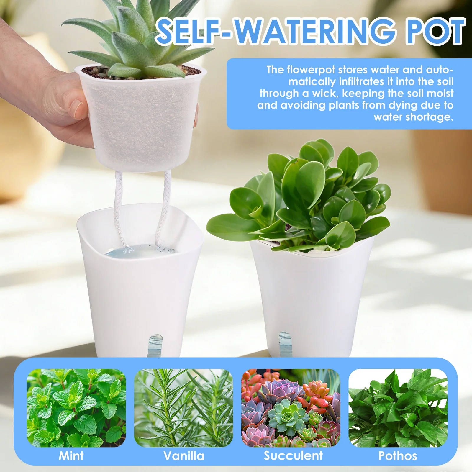 10 Pcs Self Watering Planter L - Hydroponic Grow Pod ulasan dan harga