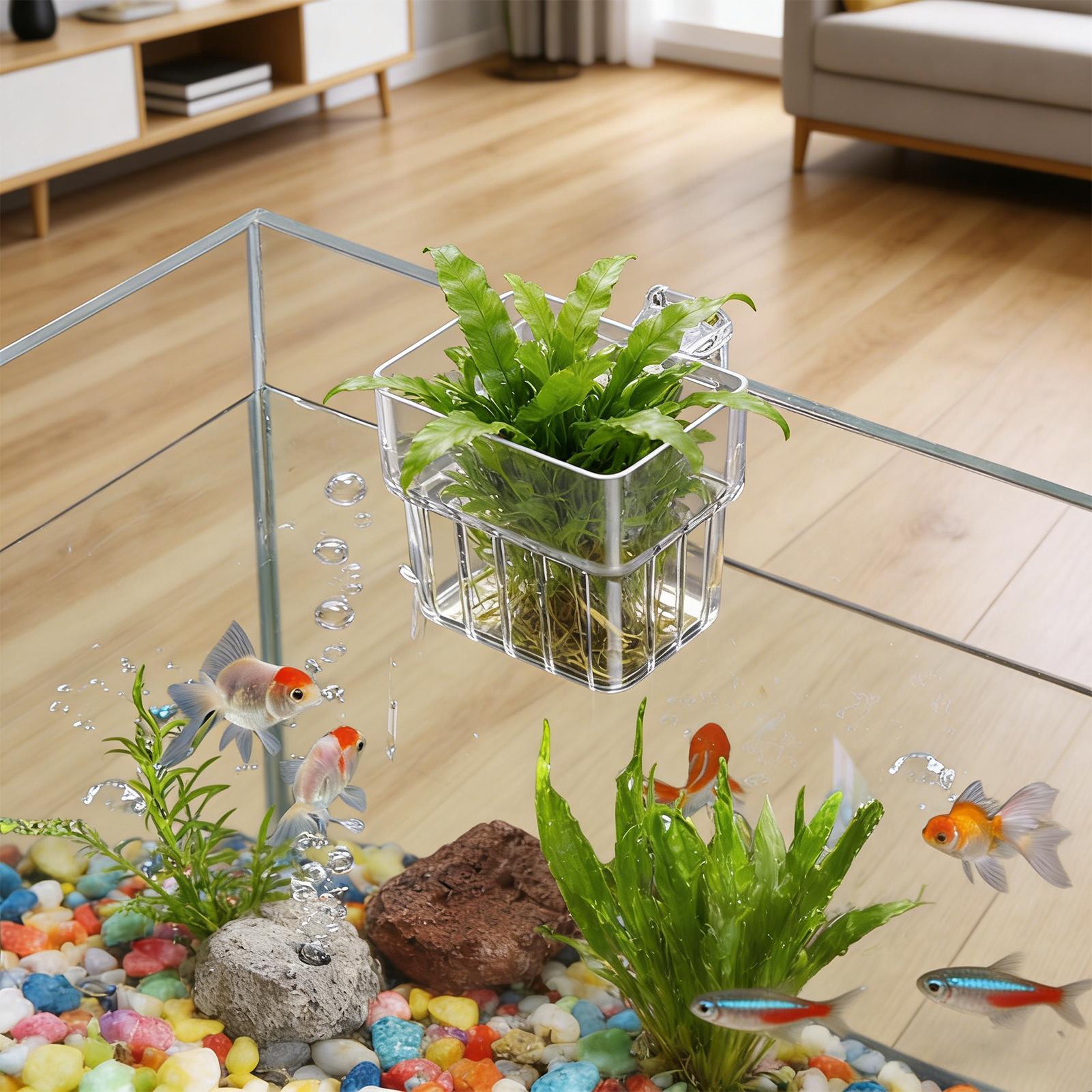 Aquarium Transparent Hanger Po - Hydroponic Grow Pod ulasan dan harga