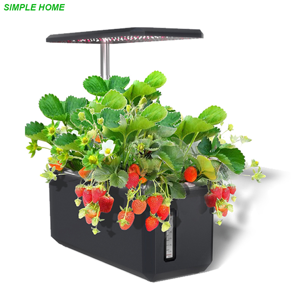 Hydroponics Growing System Wit - Smart Garden Nursery ulasan dan harga