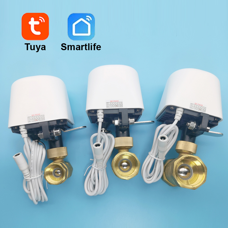 Wifi  Zigbee Tuya Water Valve  - Smart Garden Home Assistant ulasan dan harga