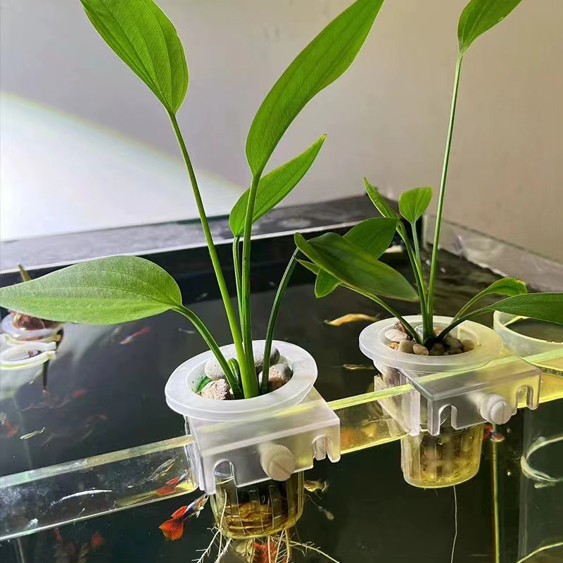 Aquarium Planting Basket Hydro - Hydroponic Grow Pod ulasan dan harga