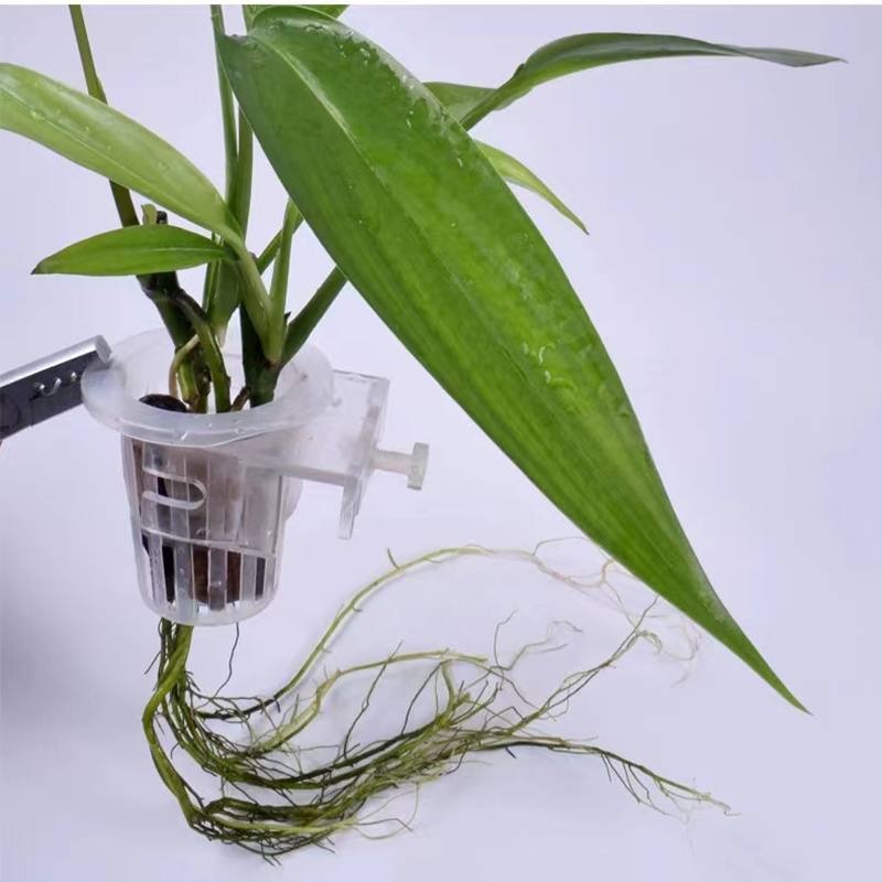 Aquarium Planting Basket Hydro - Hydroponic Grow Pod ulasan dan harga